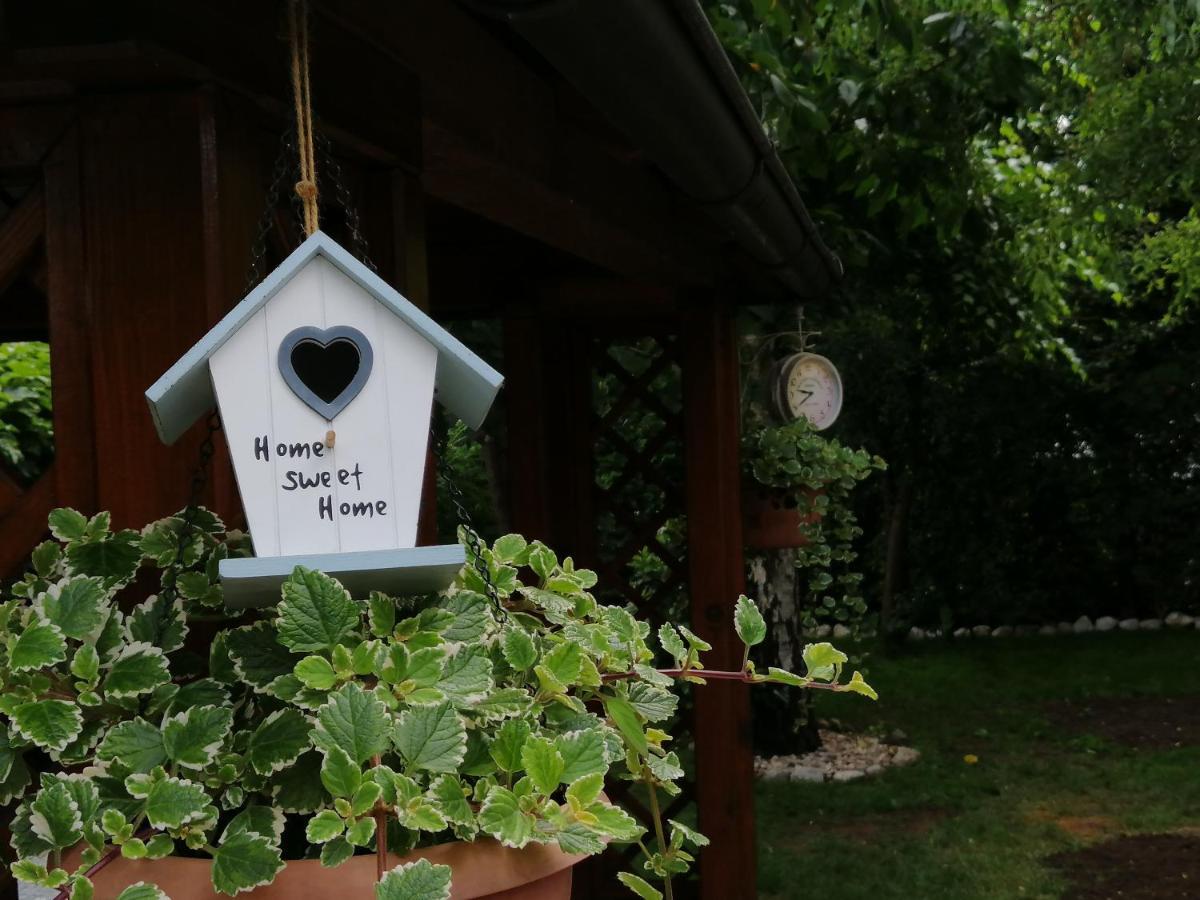 Apartma Carnica Bled Dış mekan fotoğraf